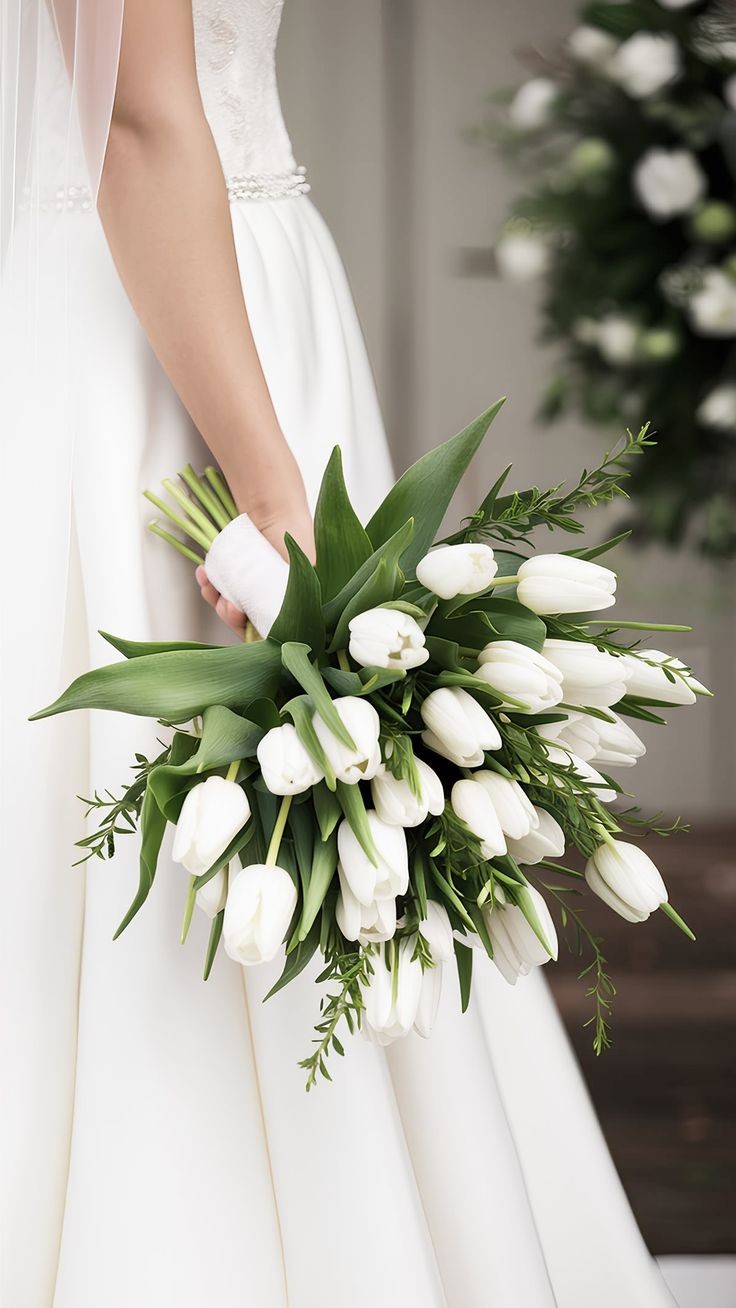 Tulipes blanche