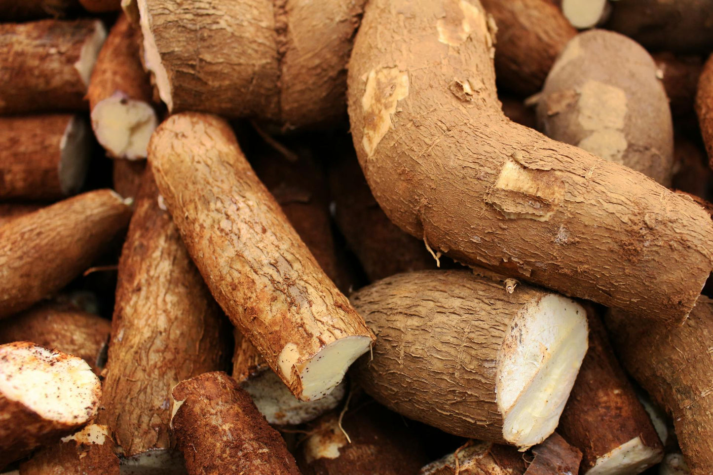 Chikwangue frais à la pièce