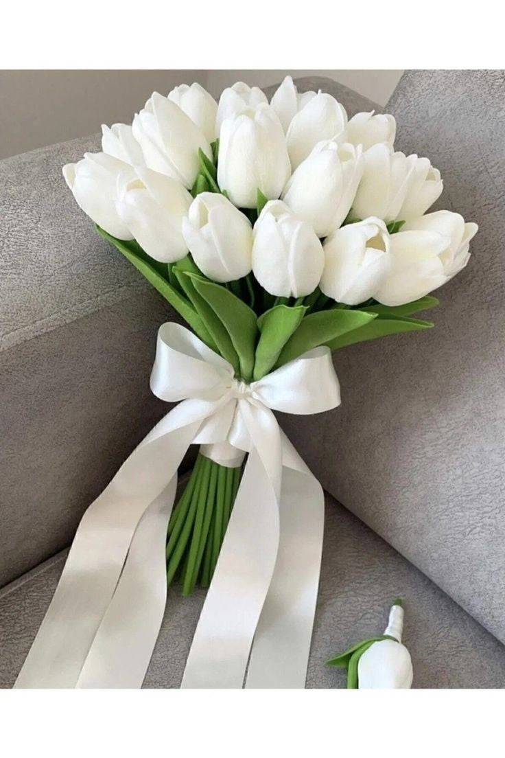 Tulipes blanche